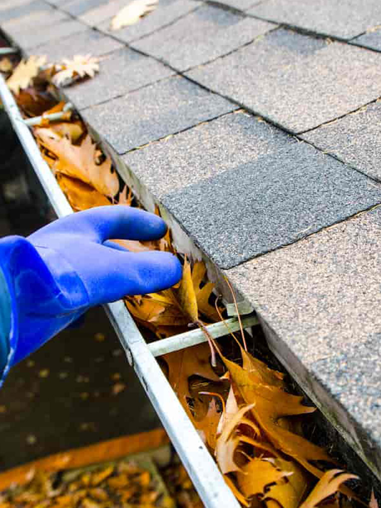 Gutter cleaning Brisbane